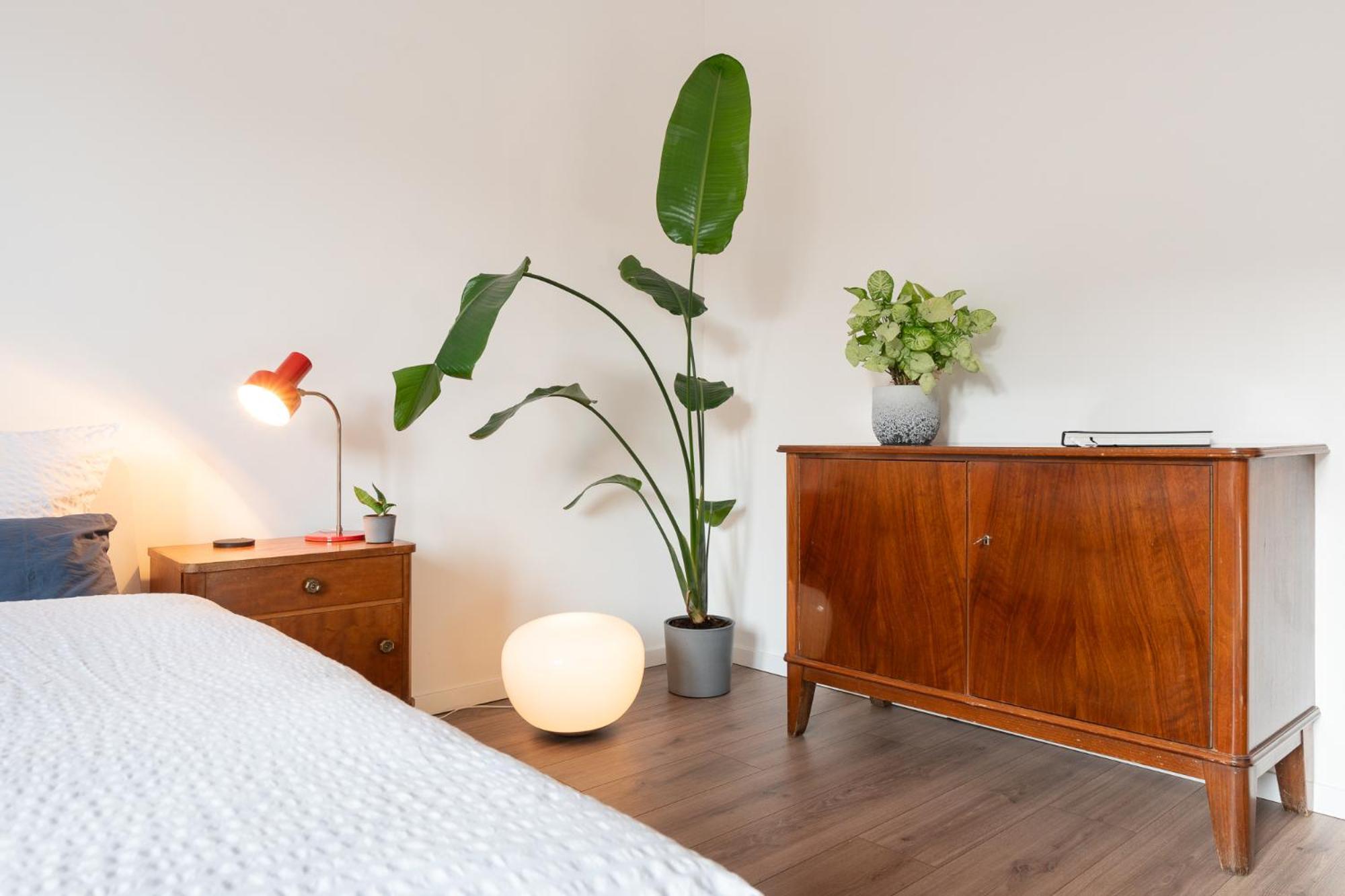 Luxurioeses Apartment, 10Min Innenstadt, Parkplatz Эрфурт Экстерьер фото